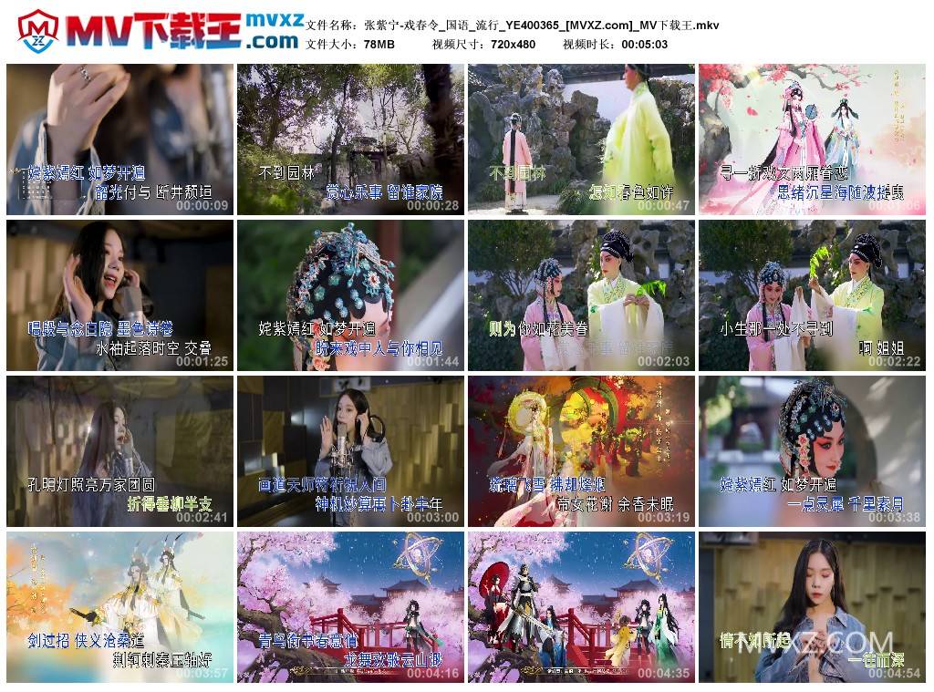 张紫宁-戏春令_国语_流行_YE400365